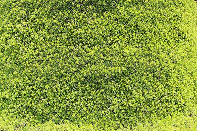 《生化危机2＆3＆7》次世代主机版将上线 部分文件大小泄露