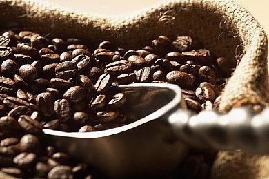 国风手绘解谜游戏《生肖纪 鸡哥和他的朋友们》公开 支持简繁体中文