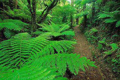 《Rewrite 收获祭》Steam上线 Key社恋爱名作