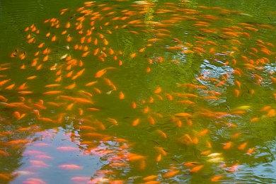 即将推出 《沙漠大冒险》上市预告片分享